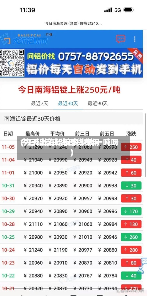 今日铝锭上海现货费用(今天上海铝锭多少钱一吨呀)