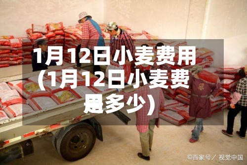 1月12日小麦费用(1月12日小麦费用是多少)