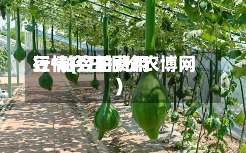豆-粕今日费用行情(豆粕费用行情今日报价农博网)