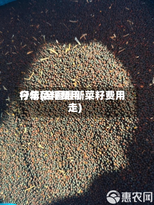 今年菜籽费用
行情(全国最新菜籽费用
走)-第3张图片