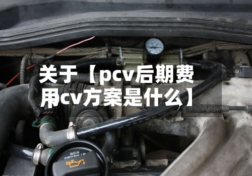 关于【pcv后期费用
,pcv方案是什么】