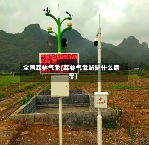 全国森林气象(森林气象站是什么意思)-第2张图片