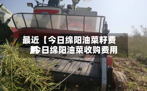 最近【今日绵阳油菜籽费用,今日绵阳油菜收购费用】-第3张图片