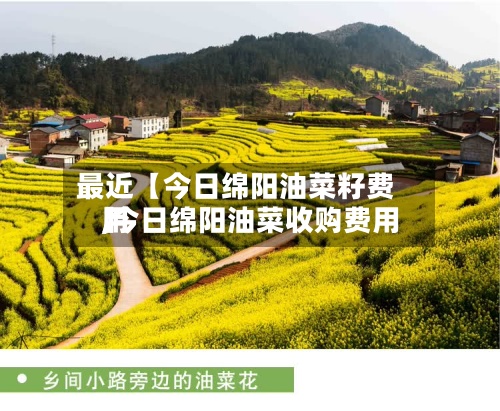 最近【今日绵阳油菜籽费用,今日绵阳油菜收购费用】-第2张图片