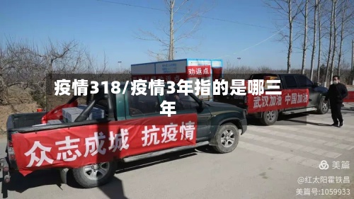 疫情318/疫情3年指的是哪三年
