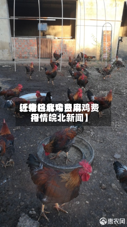 近来
【今日麻鸡费用
行情皖北今日麻鸡费用
行情皖北新闻】