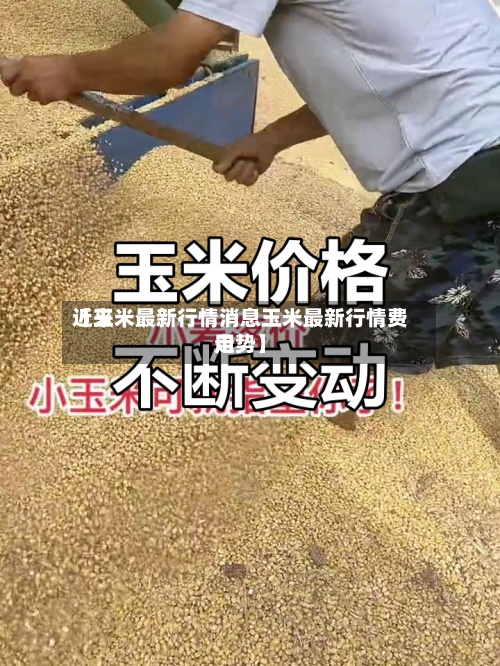 近来
【玉米最新行情消息玉米最新行情费用
走势】-第2张图片