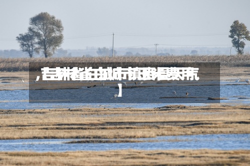 【吉林省白城市玉米费用
,吉林省白城市镇赉县天气】-第2张图片