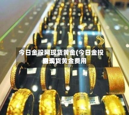 今日金投网现货黄金(今日金投网现货黄金费用
查询)