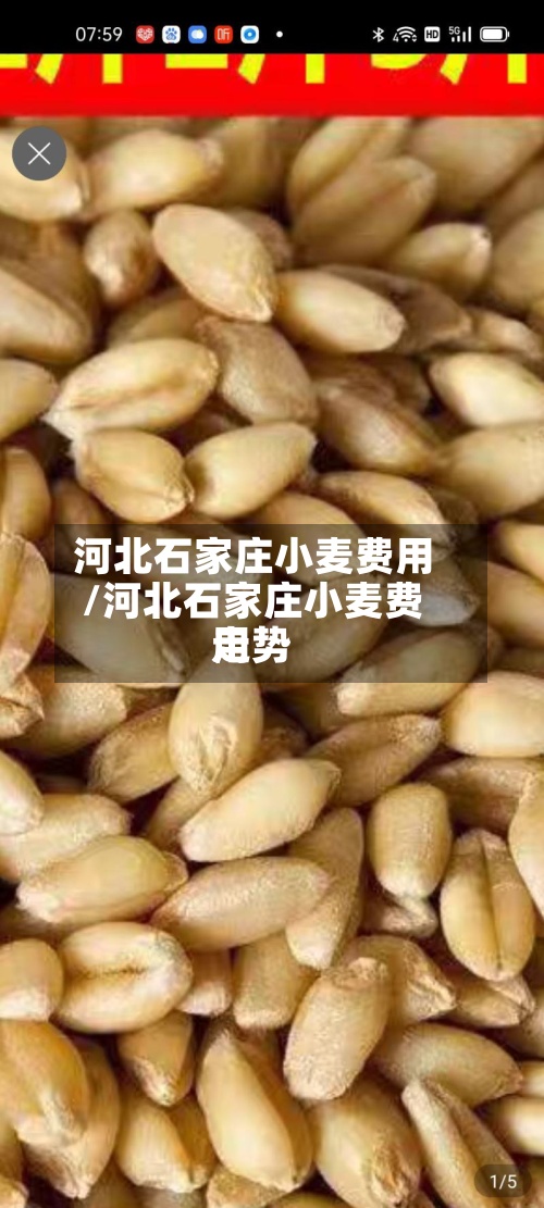 河北石家庄小麦费用
/河北石家庄小麦费用
走势