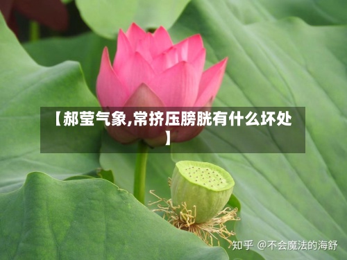 【郝莹气象,常挤压膀胱有什么坏处】-第3张图片