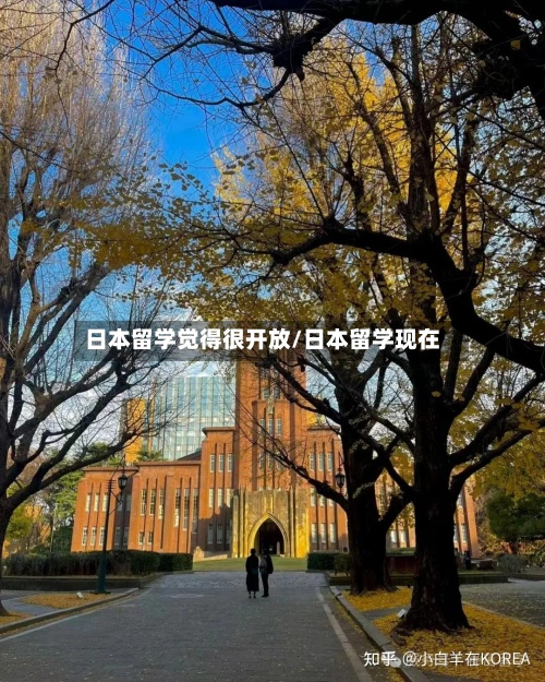 日本留学觉得很开放/日本留学现在-第3张图片