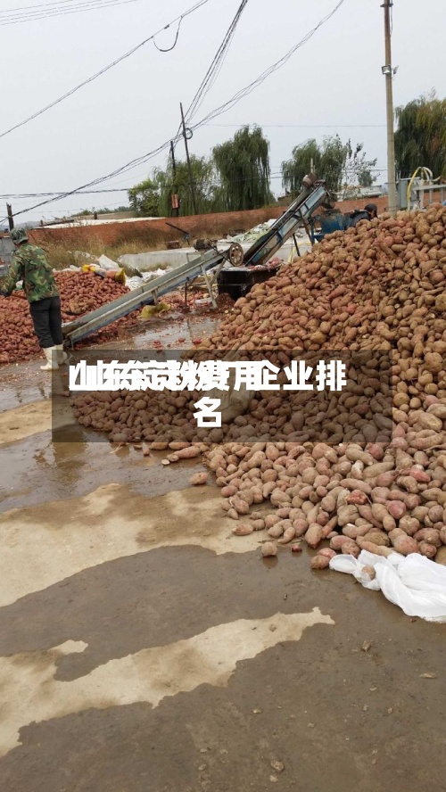 山东淀粉费用/山东淀粉厂企业排名