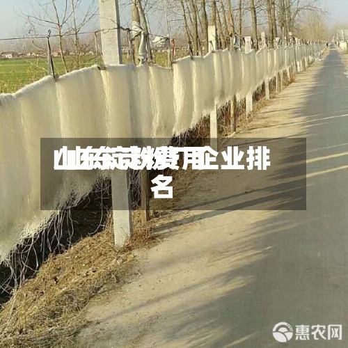 山东淀粉费用
/山东淀粉厂企业排名-第3张图片