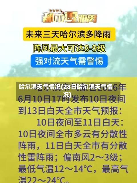 哈尔滨天气情况(28日哈尔滨天气情况)