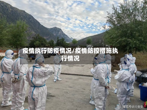 疫情执行防疫情况/疫情防控措施执行情况