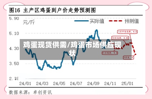 鸡蛋现货供需/鸡蛋市场供应现状