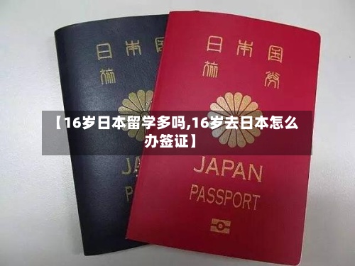 【16岁日本留学多吗,16岁去日本怎么办签证】-第2张图片