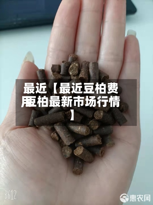 最近【最近豆柏费用
,豆柏最新市场行情】-第2张图片
