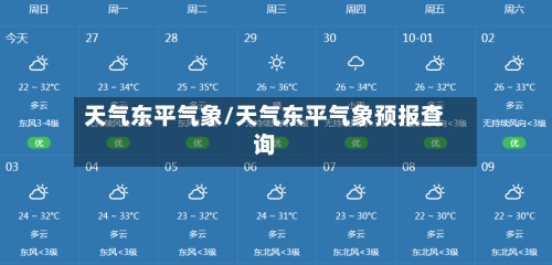 天气东平气象/天气东平气象预报查询