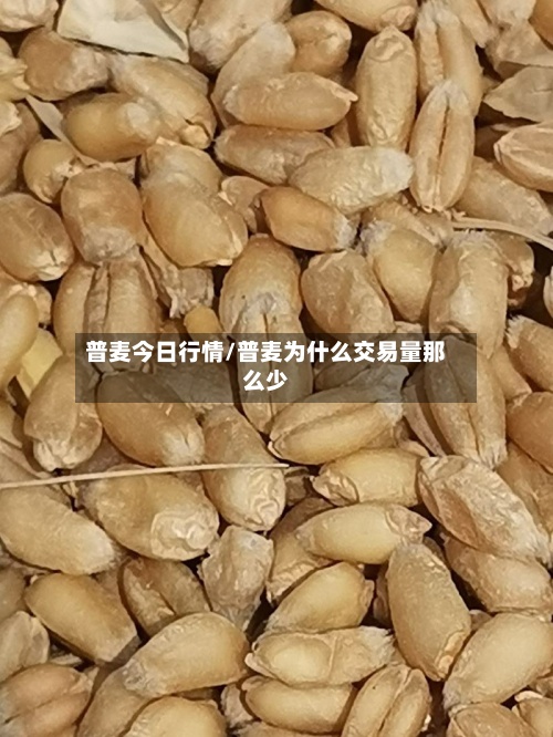普麦今日行情/普麦为什么交易量那么少-第2张图片
