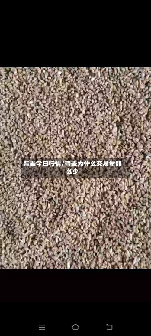 普麦今日行情/普麦为什么交易量那么少