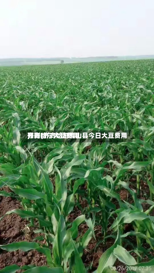 齐齐哈尔大豆费用
预测(齐齐哈尔克山县今日大豆费用
)