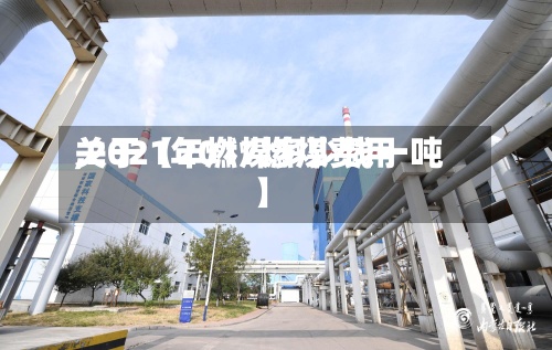 关于【2017燃煤费用
,2021年燃煤多少钱一吨】-第2张图片