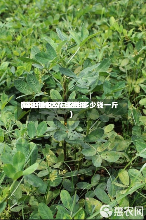 南阳宛城区花生费用
(南阳地区今日花生多少钱一斤)-第3张图片