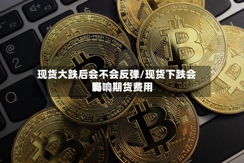 现货大跌后会不会反弹/现货下跌会影响期货费用吗-第2张图片