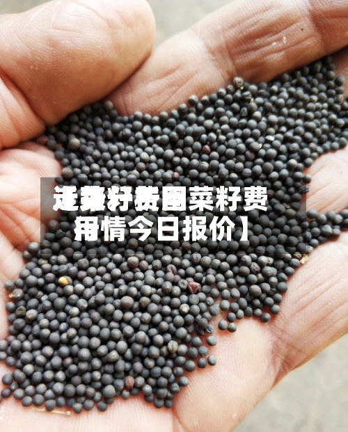 近来
【菜籽费用
走势分析图菜籽费用
行情今日报价】
