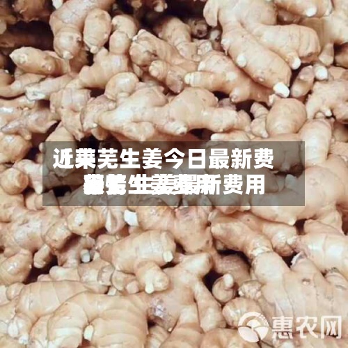 近来
【莱芜生姜今日最新费用
莱芜生姜费用
行情 生姜最新费用
表】-第2张图片