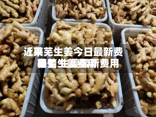 近来
【莱芜生姜今日最新费用
莱芜生姜费用
行情 生姜最新费用
表】