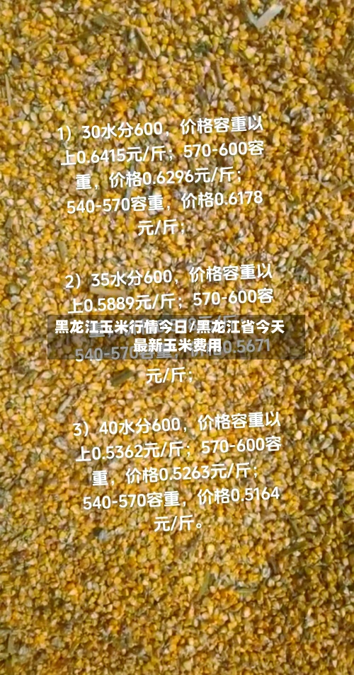 黑龙江玉米行情今日/黑龙江省今天最新玉米费用