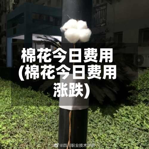 棉花今日费用
(棉花今日费用
涨跌)