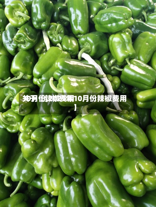 关于【辣椒费用
10月份,2021年10月份辣椒费用
】-第2张图片