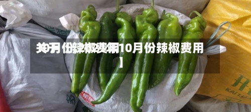 关于【辣椒费用
10月份,2021年10月份辣椒费用
】
