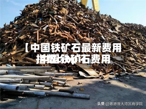 【中国铁矿石最新费用
,中国铁矿石费用
指数ciopi】