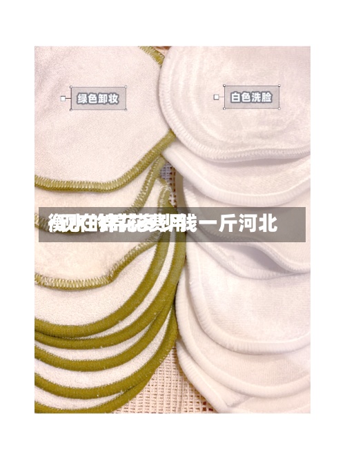衡水的棉花费用
/现在棉花多少钱一斤河北