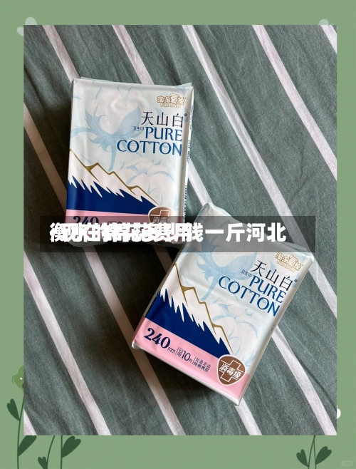 衡水的棉花费用
/现在棉花多少钱一斤河北-第3张图片
