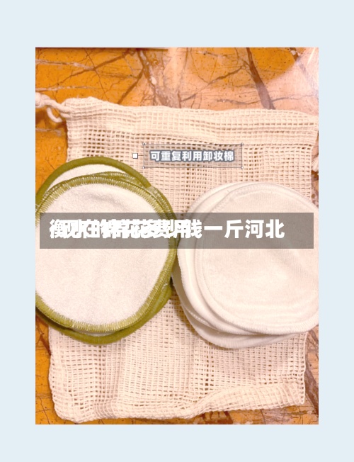 衡水的棉花费用
/现在棉花多少钱一斤河北-第2张图片