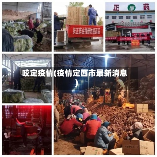 咬定疫情(疫情定西市最新消息)-第2张图片