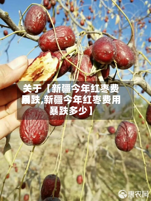 关于【新疆今年红枣费用暴跌,新疆今年红枣费用暴跌多少】