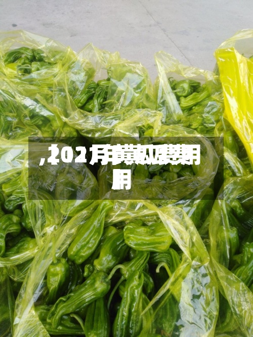 【11月黄瓜费用
,2021年黄瓜费用
】-第2张图片