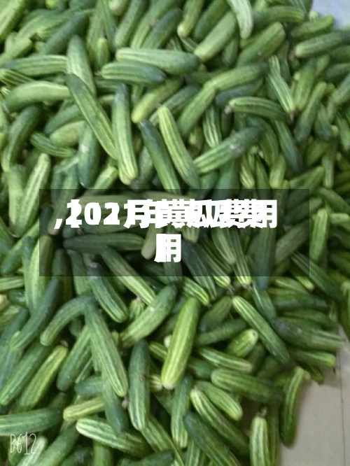 【11月黄瓜费用
,2021年黄瓜费用
】-第3张图片