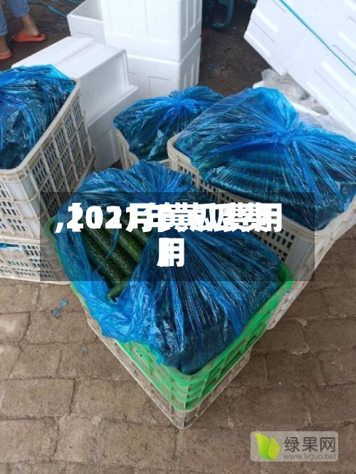 【11月黄瓜费用
,2021年黄瓜费用
】
