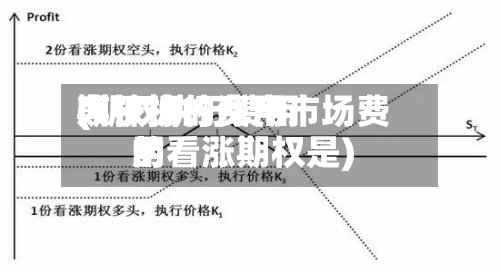 期权执行费用
(期权执行费用
大于标的资产市场费用
的看涨期权是)-第2张图片