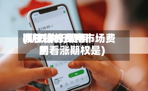 期权执行费用(期权执行费用大于标的资产市场费用的看涨期权是)