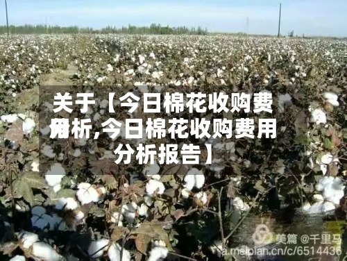 关于【今日棉花收购费用
分析,今日棉花收购费用
分析报告】-第2张图片