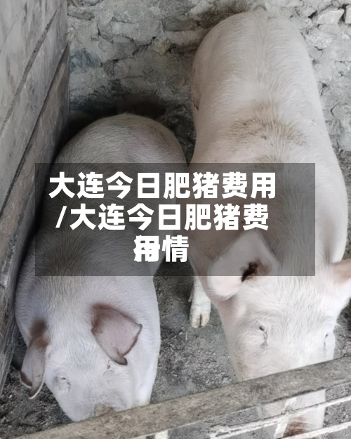 大连今日肥猪费用
/大连今日肥猪费用
行情-第2张图片